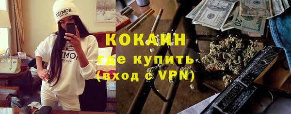 мет Алексин