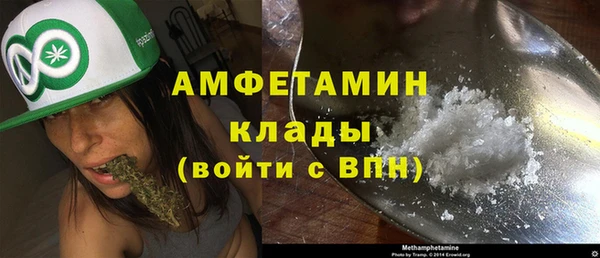 мет Алексин