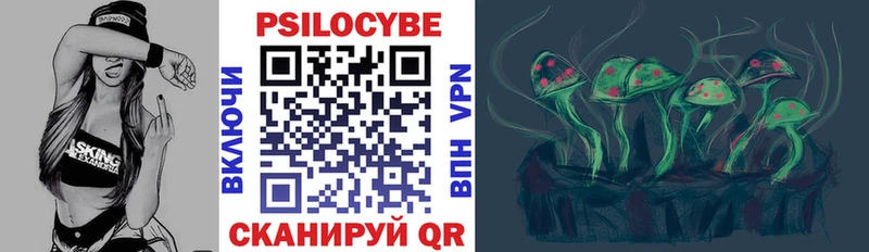 Псилоцибиновые грибы Psilocybe KRAKEN зеркало Кремёнки